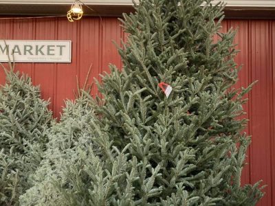 409327222_865756812221429_7193098588044428834_n